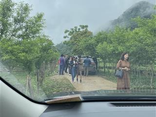 Chính chủ cần bán 5000m2 đất sổ đỏ có sẵn vườn mận lâu năm đang cho thu hoạch rất đẹp. chỉ 2.8 tỷ