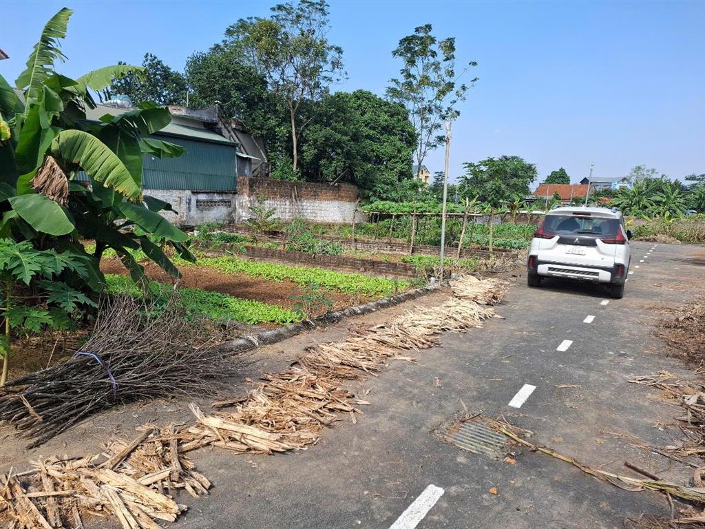 Chính chủ bán đất xã hạ bằng gần đhqg hà nội. 61,3m2 mặt tiền rộng, ô tô tránh, tiện ở, đầu tư