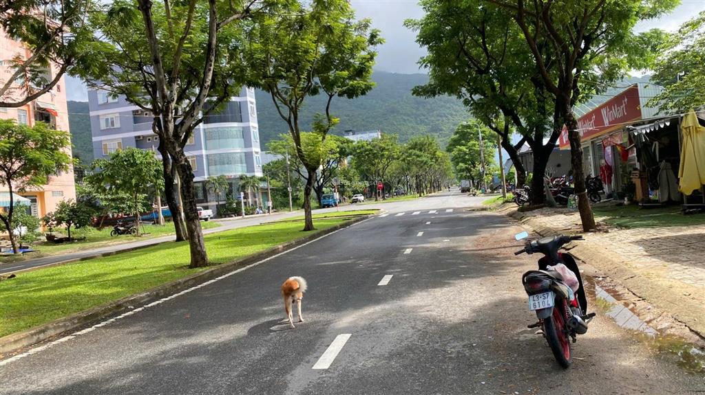 Chào bán lô góc 2 mặt tiền ngô cao lãng sát lê đức thọ 0911 190 ***