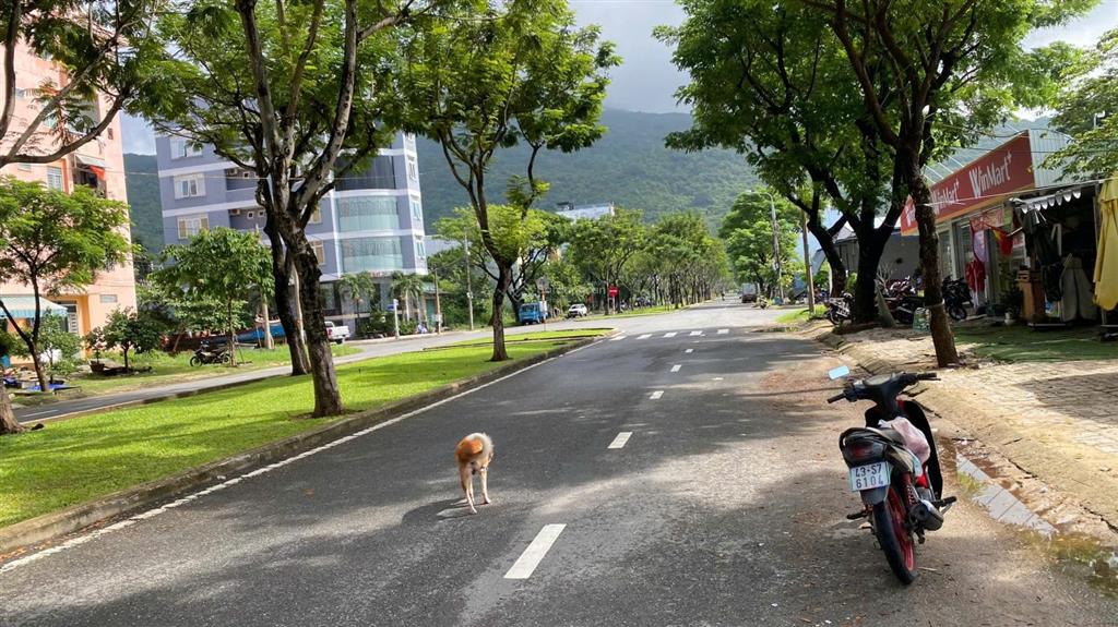 Chào bán lô góc 2 mặt tiền ngô cao lãng sát lê đức thọ 0911 190 ***