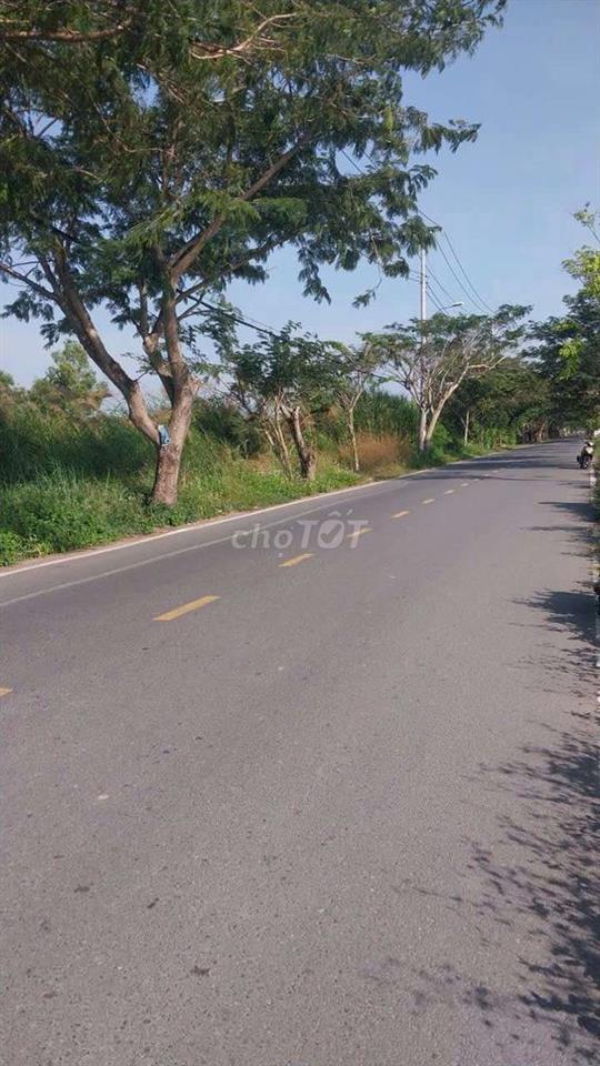 cần bán 2ha3 đất mặt tiền ngô quang thắm nhà bè hcm 