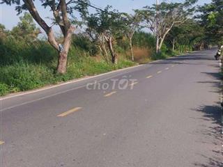 cần bán 2ha3 đất mặt tiền ngô quang thắm nhà bè hcm 