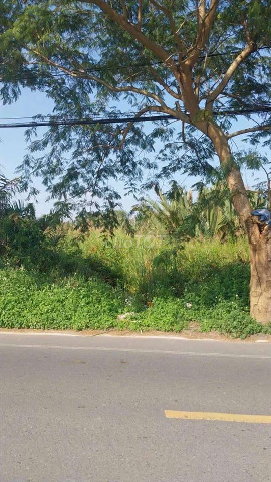 cần bán 2ha3 đất mặt tiền ngô quang thắm nhà bè hcm 