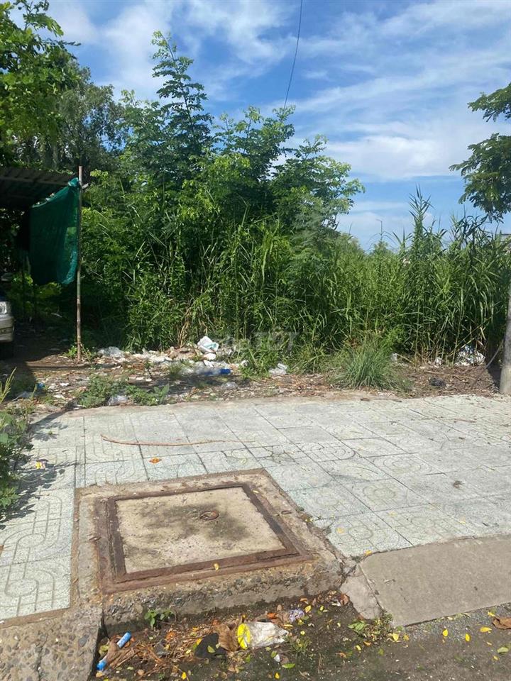 cần cho thuê 2300m2 đất mt nguyễn bình nhà bè hcm