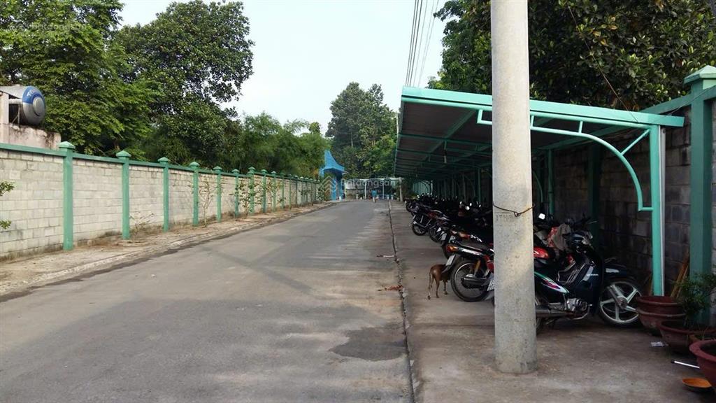 Bán xưởng phú an, thu nhập 200 triệu. dt 7296m2. giấy tờ đầy đủ.  0366 236 ***