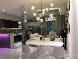 Siêu đẹp! hẻm xe hơi lạc long quân, giáp quận 10 dt (10x11m), giá chỉ 9.99 tỷ