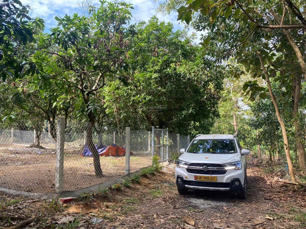 Giảm mạnh còn 539 triệu 2000m2 vườn định quán shr sang tên ngay