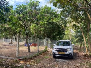 Giảm mạnh còn 539 triệu 2000m2 vườn định quán shr sang tên ngay
