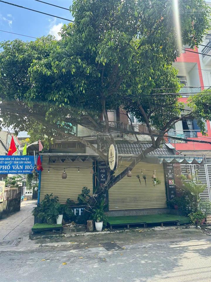 Siêu phẩm mt dương văn dương  nở hậu tài lộc  ở & kinh doanh đỉnh