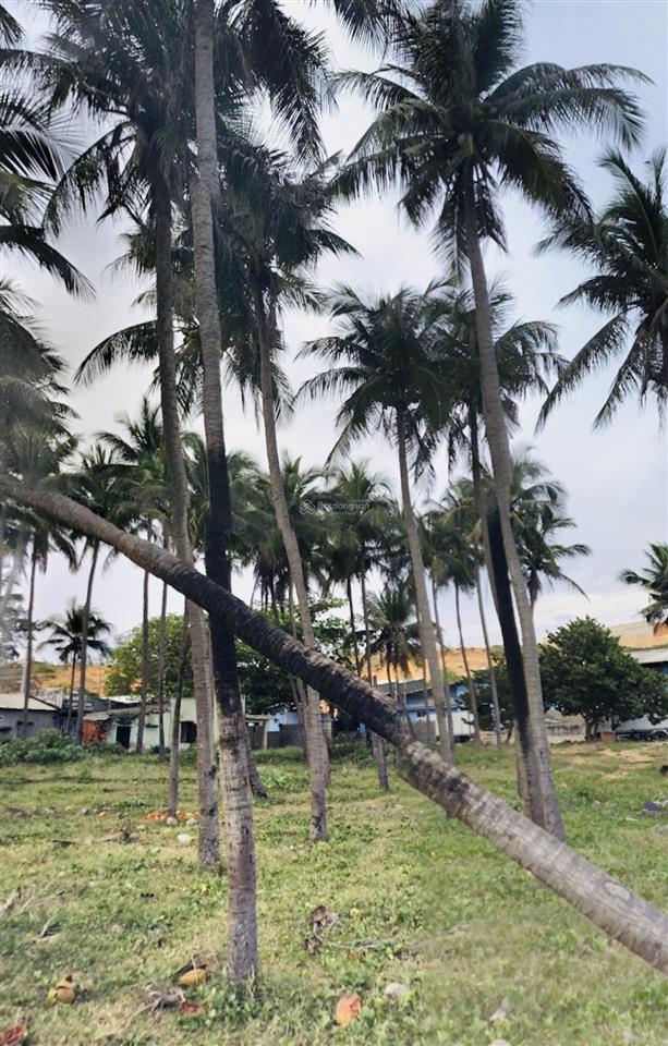 Bán đất 2 mặt tiền hàm tiến gần sân bay phan thiết đón sóng sun group.