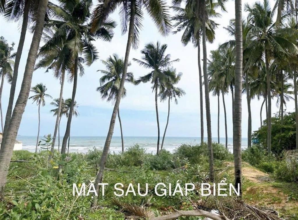 Bán đất 2 mặt tiền hàm tiến gần sân bay phan thiết đón sóng sun group.