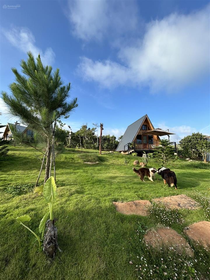 Đất thổ cư tựa sườn đồi view hồ đại ninh có nhà gỗ bắc âu và vườn cây ăn trái