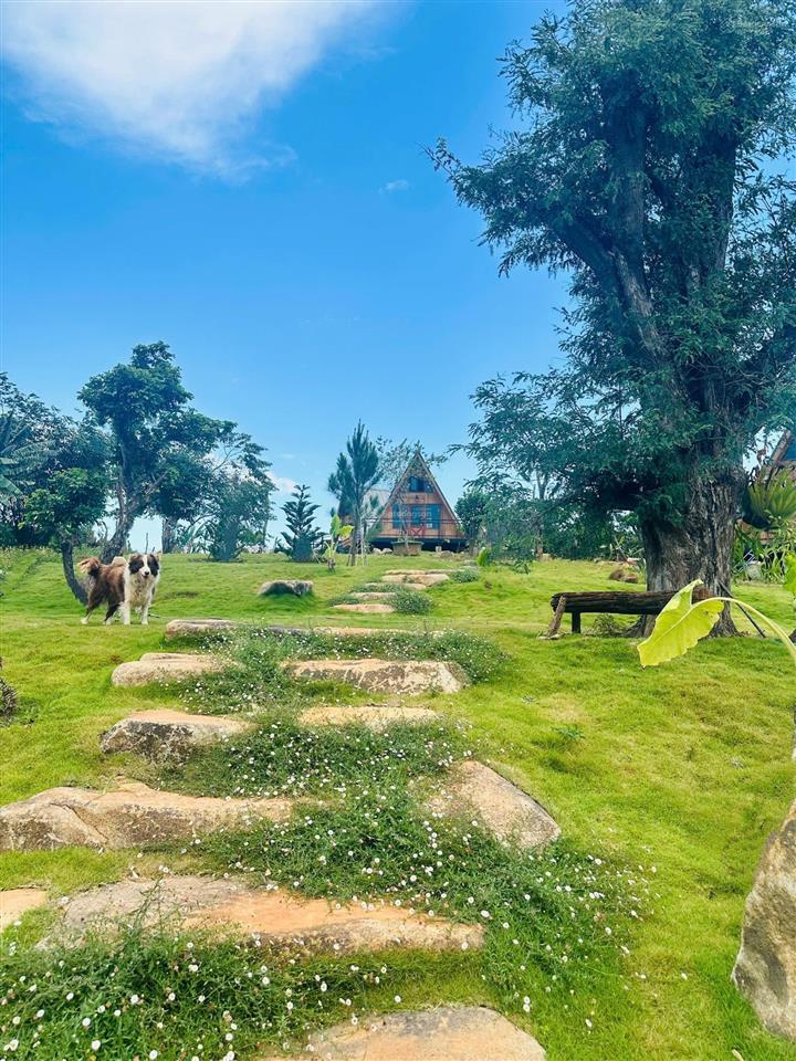 Đất thổ cư tựa sườn đồi view hồ đại ninh có nhà gỗ bắc âu và vườn cây ăn trái