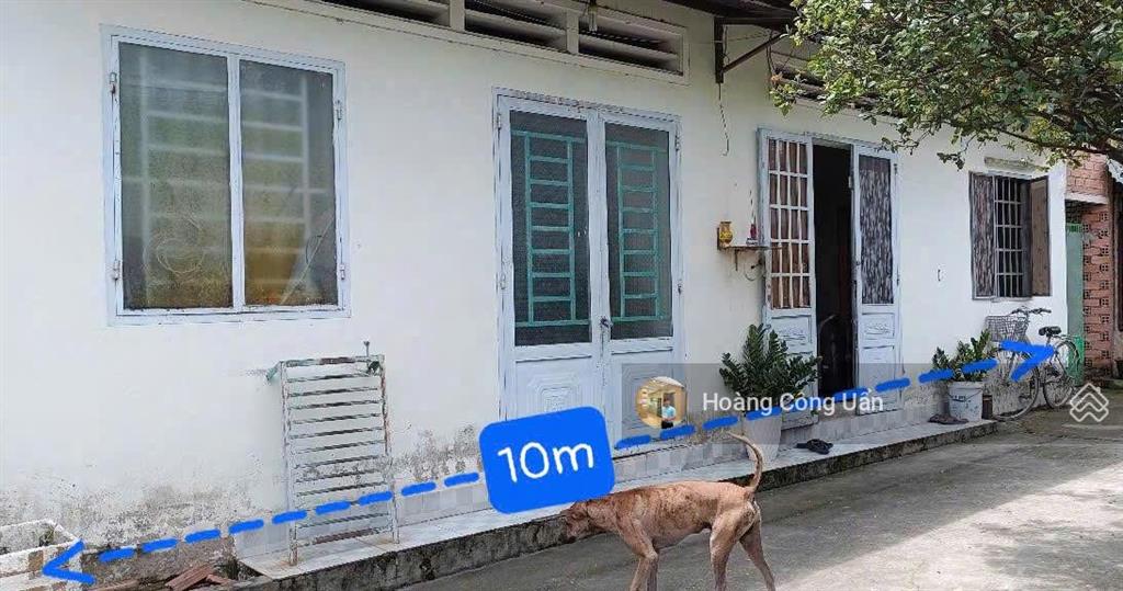 Chủ gửi bán 2 căn nhà (1 sổ) phường bửu long. cách huỳnh văn nghệ 100m, cách bờ kè 50m. đường ô tô