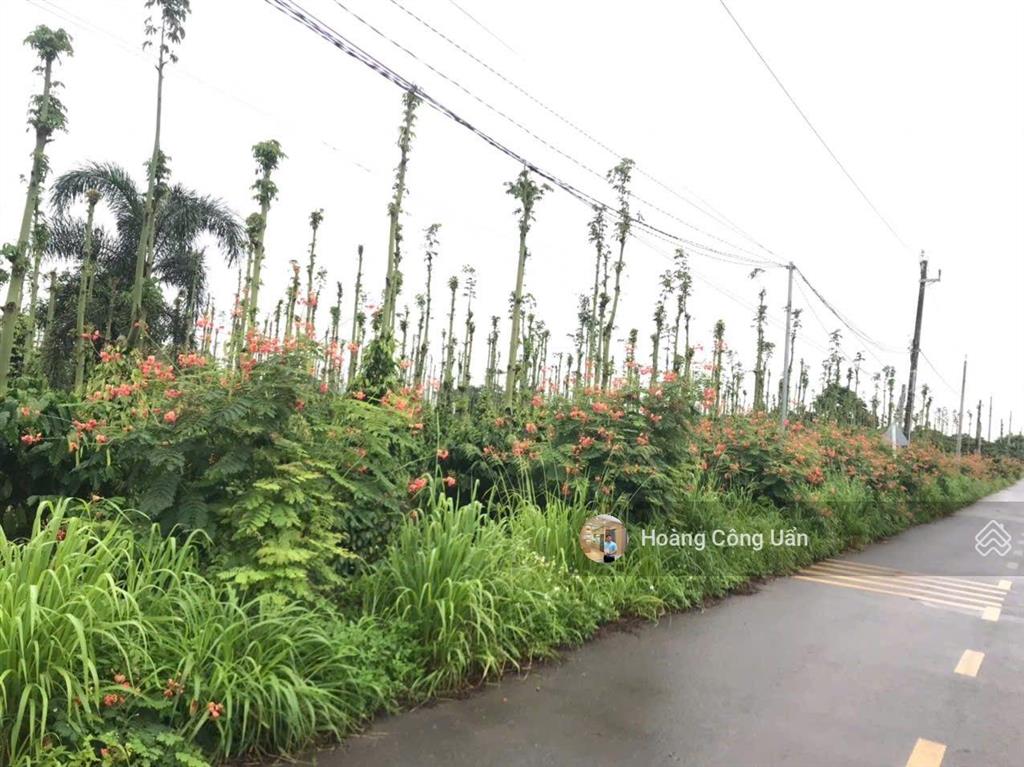 Hàng ngộp giá rẻ hơn ngân hàng thẩm định  đất vườn  huyện cẩm mỹ, đồng nai. gần hồ sông ray.