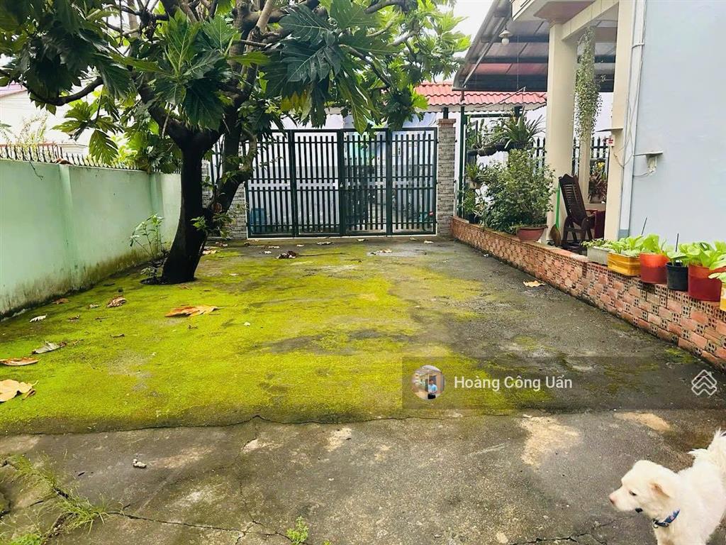 Đất rộng đẹp phường tân tiến. gần công viên dương tử giang. dt 6x32m  3tỷ800 đường ô tô thoải mái