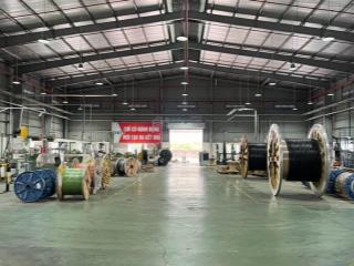  cho thuê nhà xưởng 1600m2 giá 60tr. pccc vách tường, xe container 24/7 tại nguyễn văn bứa hóc môn