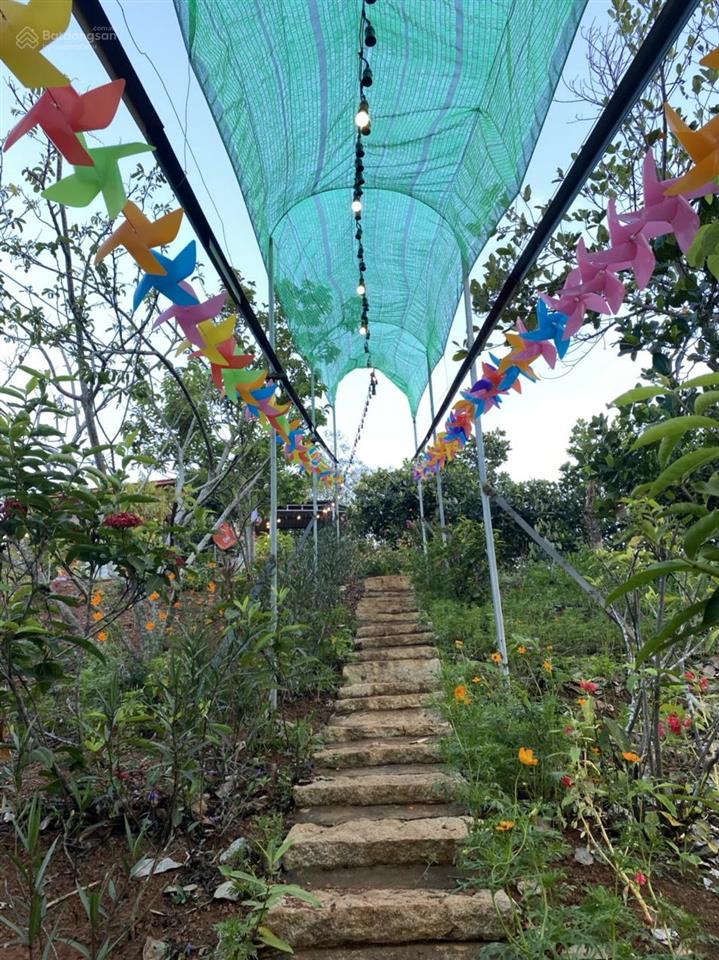 Chính chủ bán farmstay suối rao, bà rịa  vũng tàu, cạnh hồ thiên nhiên, dt 9980m2, giá 12,5 tỷ