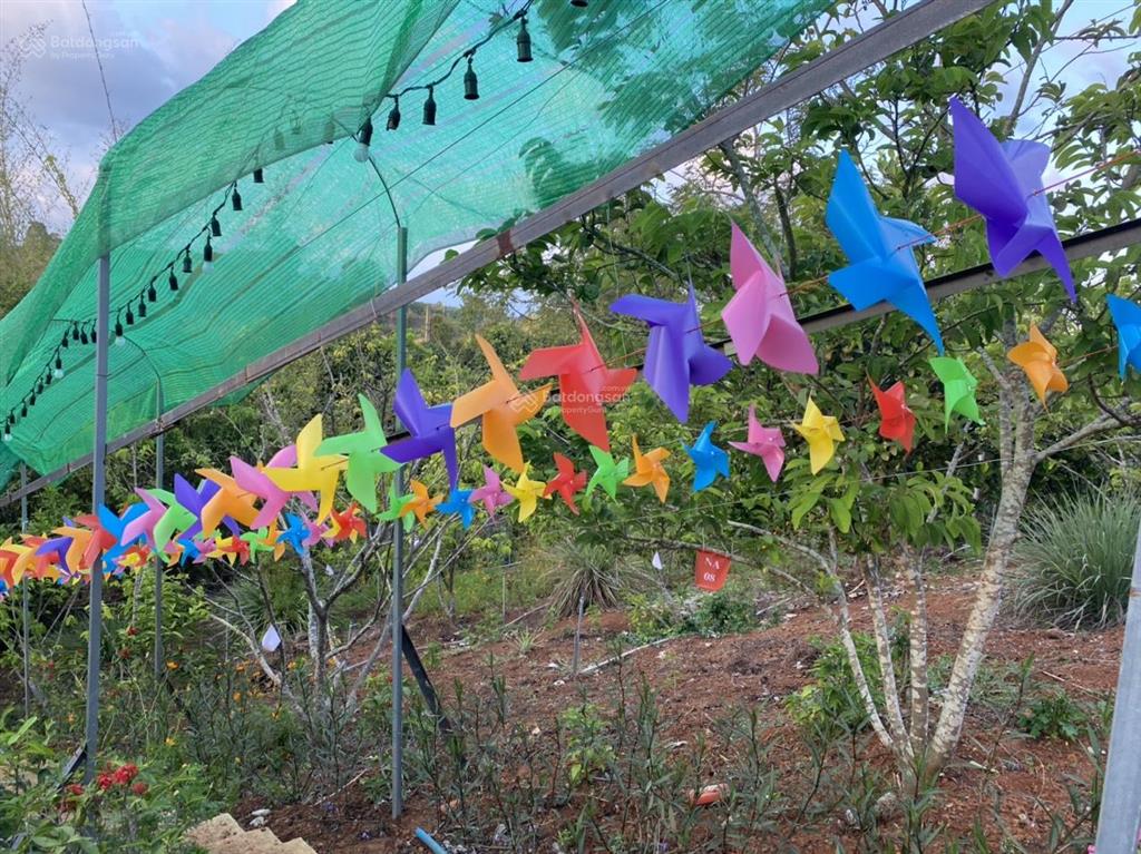 Chính chủ bán farmstay suối rao, bà rịa  vũng tàu, cạnh hồ thiên nhiên, dt 9980m2, giá 12,5 tỷ