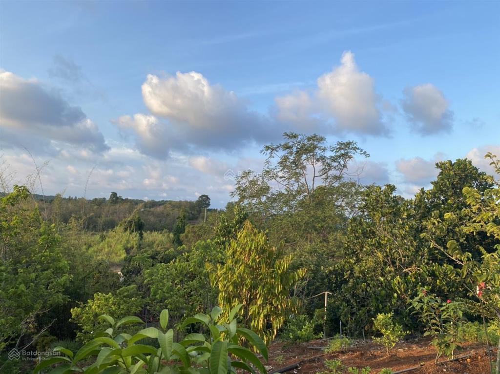 Chính chủ bán farmstay suối rao, bà rịa  vũng tàu, cạnh hồ thiên nhiên, dt 9980m2, giá 12,5 tỷ