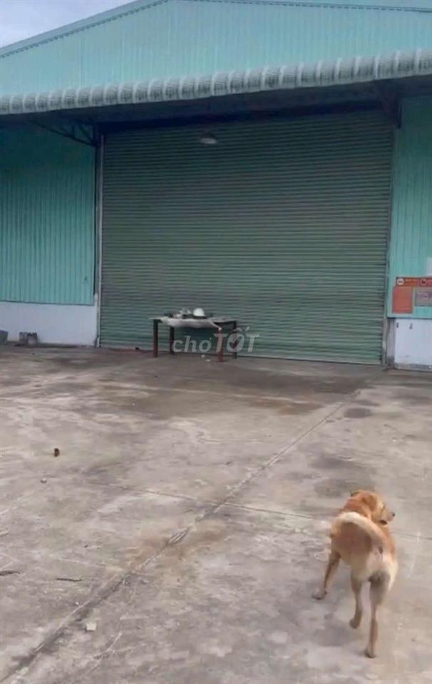cho thuê xưởng bình chuẩn thuận an bình dương