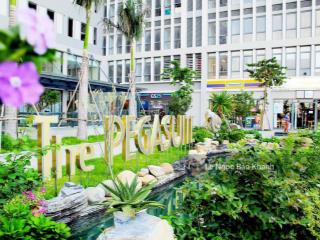 Bỏ túi 9 triệu/tháng  sở hữu ngay officetel the pegasuite chỉ từ 1.8 tỷ