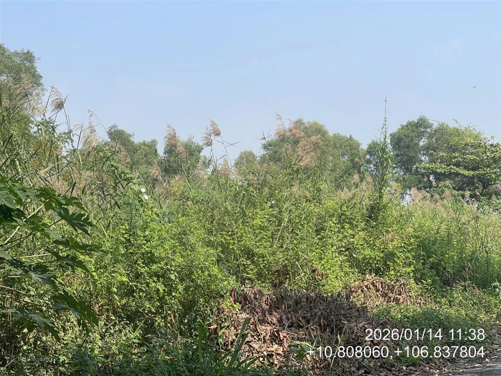 Bán đất phường trường thạnh, quận 9, hồ chí minh. đường nhựa 6m. tdt 943m2. giá 44 tỷ
