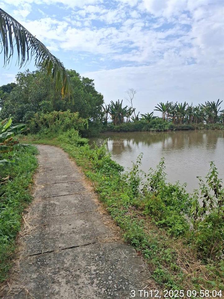 Bán đất nuôi trồng thủy hải sản gần nhà máy nước vĩnh hanh, châu thành, an giang. dt 72.738 m2