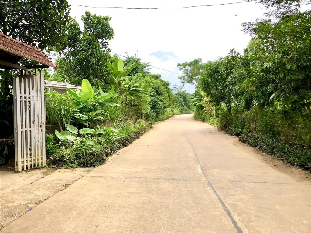 Cần bán 197m2 full thổ cư trục chính liên thôn, mt 9m hậu 10m. view thoáng tại khánh thượng  ba vì