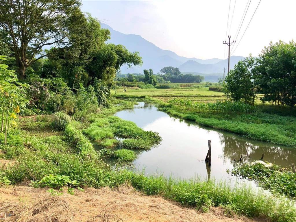 Cần bán 197m2 full thổ cư trục chính liên thôn, mt 9m hậu 10m. view thoáng tại khánh thượng  ba vì
