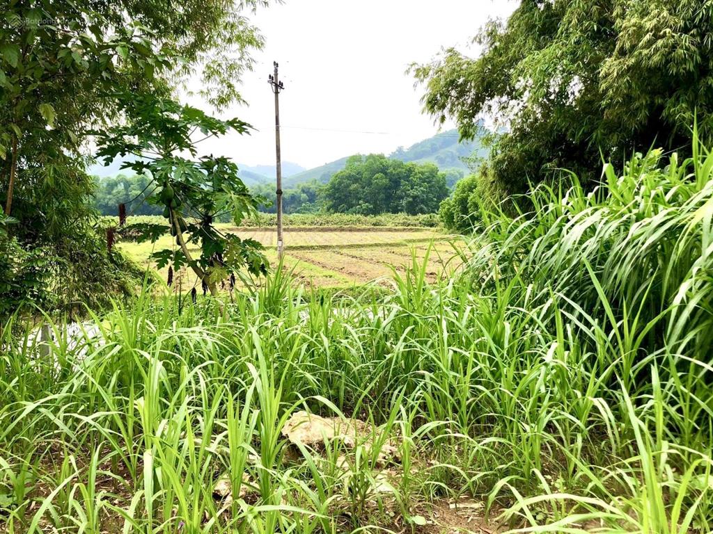 Cần bán 197m2 full thổ cư trục chính liên thôn, mt 9m hậu 10m. view thoáng tại khánh thượng  ba vì