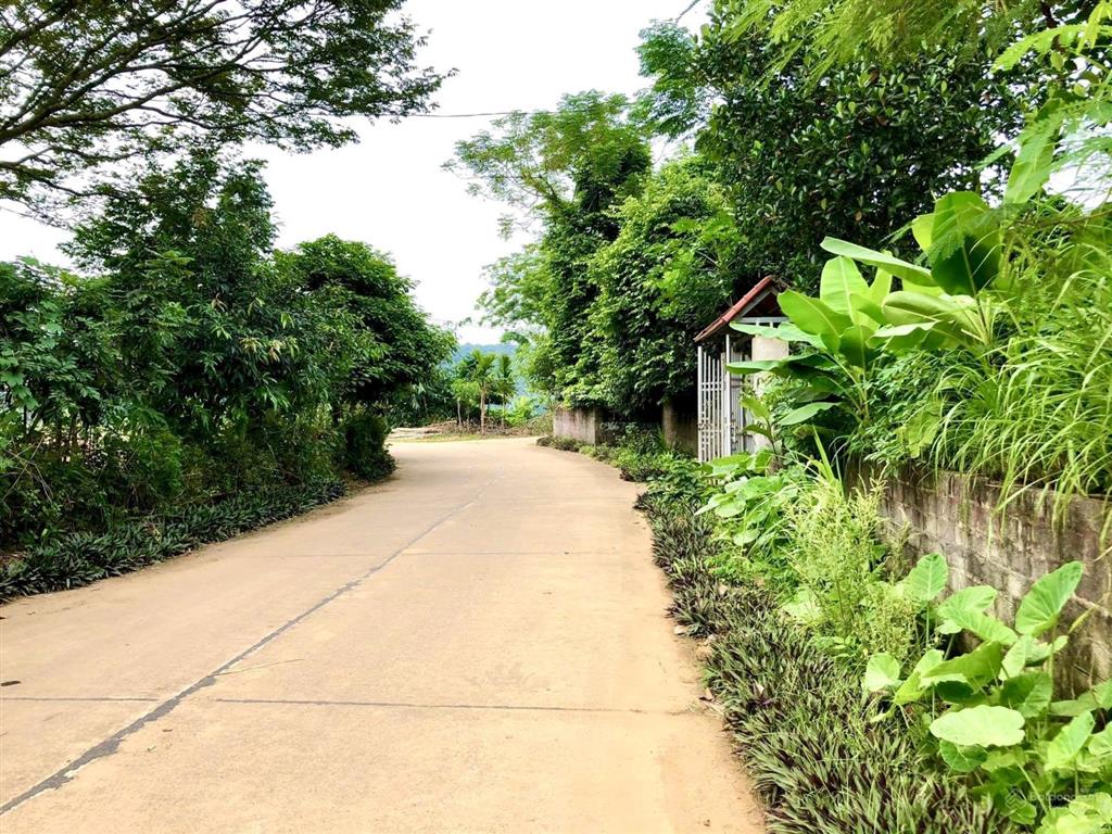 Cần bán 197m2 full thổ cư trục chính liên thôn, mt 9m hậu 10m. view thoáng tại khánh thượng  ba vì