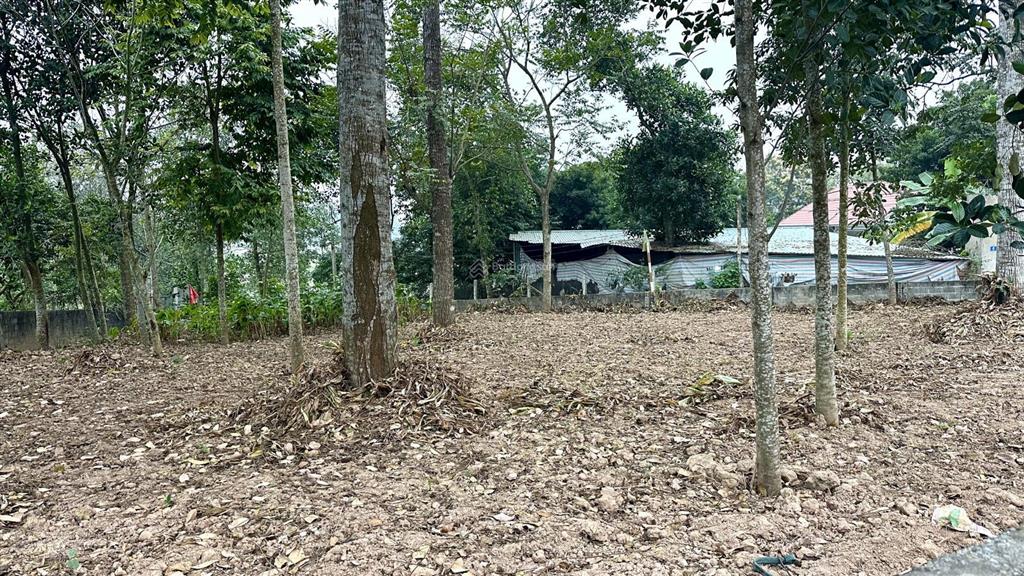Cần bán lô đất hai đường đi 560m2 mt 30m, 400m1 thổ cư tại khánh thượng  ba vì