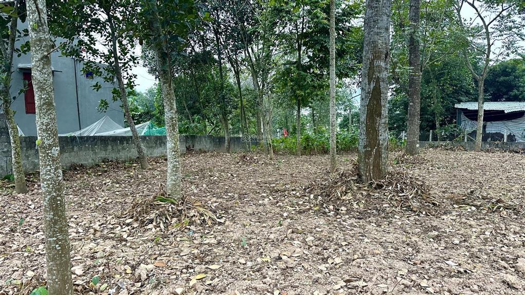Cần bán lô đất hai đường đi 560m2 mt 30m, 400m1 thổ cư tại khánh thượng  ba vì