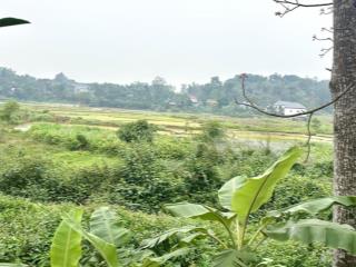 Gia đình tách bán 6 sào = 2160m2 view cánh đồng, suối chảy qua gần 80m tại thôn lặt xã minh quang