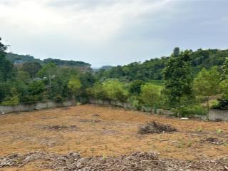 Gia đình cần tách bán 8 sào (2880m2) 150m2 đất thổ cư view thoáng đẹp tại xã ba vì, tp hà nội