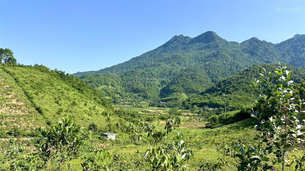Cần bán 3571m2, 500m2 đất ở, mt 63m, khuyến mại hơn 1000m2 đất ngoài sổ tại khánh thượng  ba vì