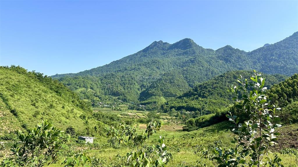 Cần bán 3571m2, 500m2 đất ở, mt 63m, khuyến mại hơn 1000m2 đất ngoài sổ tại khánh thượng  ba vì