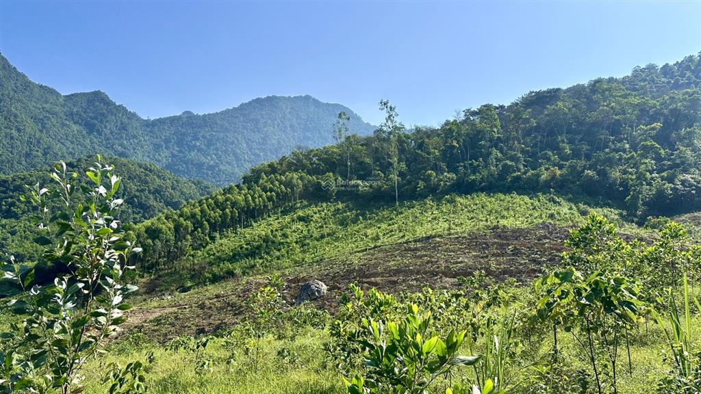 Cần bán 3571m2, 500m2 đất ở, mt 63m, khuyến mại hơn 1000m2 đất ngoài sổ tại khánh thượng  ba vì