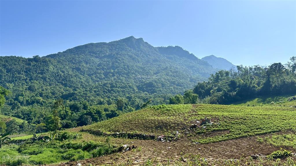 Cần bán 3571m2, 500m2 đất ở, mt 63m, khuyến mại hơn 1000m2 đất ngoài sổ tại khánh thượng  ba vì