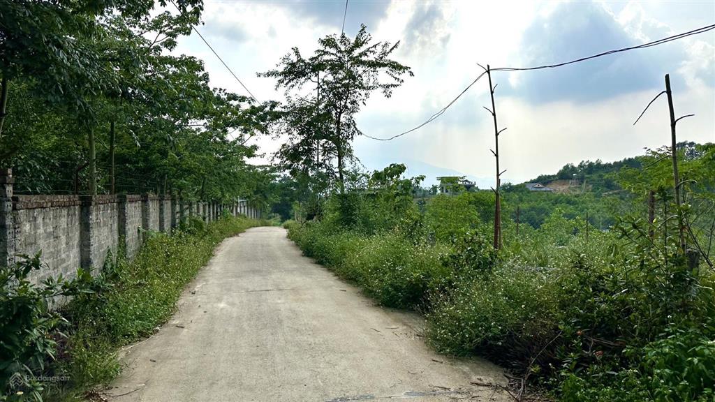 Cần bán 750m2 view cực đẹp tại thôn phú lội xã minh quang  ba vì, tp hà nội.