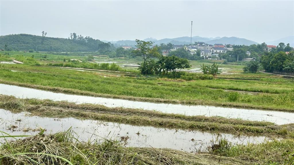 Cần bán 1176,8m2 đất view cánh đồng ruộng tại thôn đồng pheo xã yên dương, huyện tam đảo
