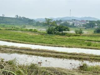 Cần bán 1176,8m2 đất view cánh đồng ruộng tại thôn đồng pheo xã yên dương, huyện tam đảo