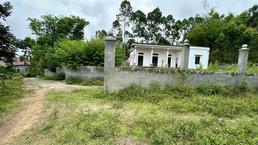 Cần bán 961,7m² đất có nhà ở luôn tại thôn đồng pheo xã yên dương huyện tam đảo  vĩnh phúc