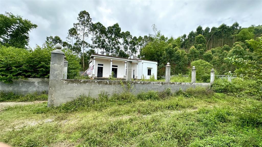 Cần bán 961,7m² đất có nhà ở luôn tại thôn đồng pheo xã yên dương huyện tam đảo  vĩnh phúc