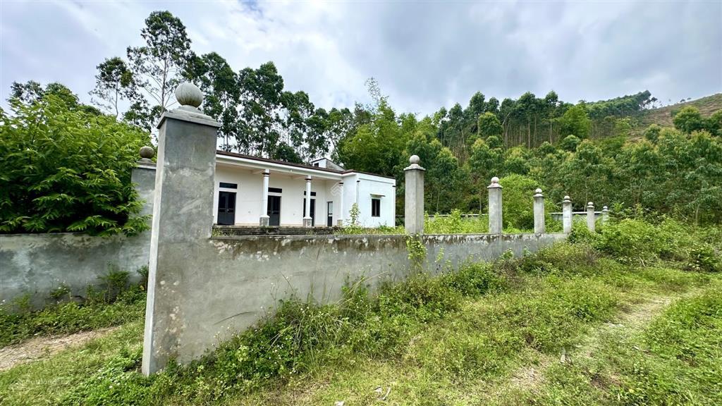 Cần bán 961,7m² đất có nhà ở luôn tại thôn đồng pheo xã yên dương huyện tam đảo  vĩnh phúc
