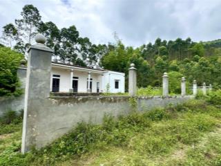 Cần bán 961,7m2 đất có nhà ở luôn tại thôn đồng pheo xã yên dương huyện tam đảo  vĩnh phúc