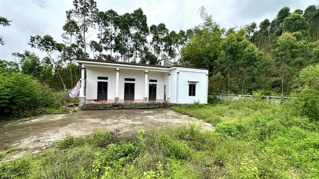 Cần bán 961,7m² đất có nhà ở luôn tại thôn đồng pheo xã yên dương huyện tam đảo  vĩnh phúc