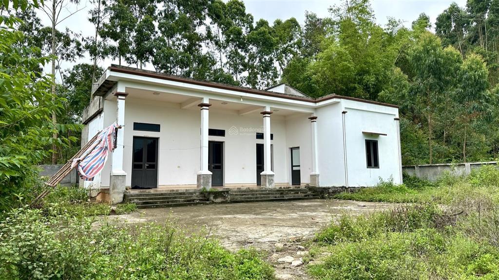 Cần bán 961,7m² đất có nhà ở luôn tại thôn đồng pheo xã yên dương huyện tam đảo  vĩnh phúc