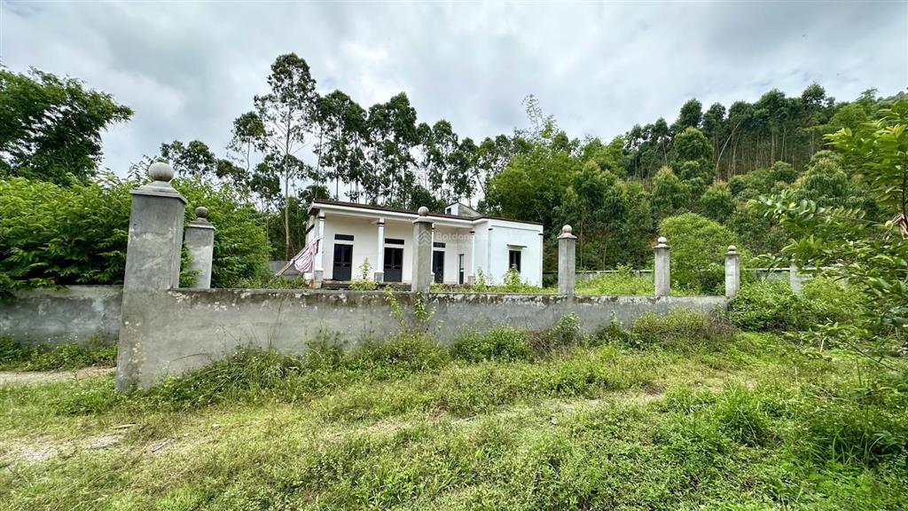 Cần bán 961,7m² đất có nhà ở luôn tại thôn đồng pheo xã yên dương huyện tam đảo  vĩnh phúc